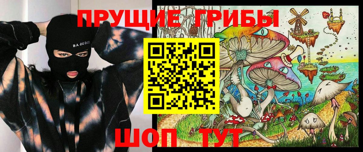 купить закладку  Псилоцибиновые грибы Psilocybine cubensis  Вход с VPN  Бор 