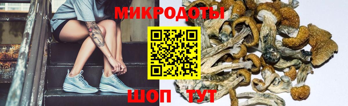 Галлюциногенные грибы мухоморы Бор